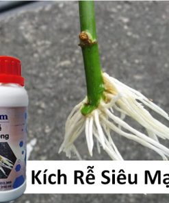 Alternative view of Vi Sinh Gốc Rễ Hoa Hồng - Chế Phẩm Sinh Học Cao Cấp Orgreen