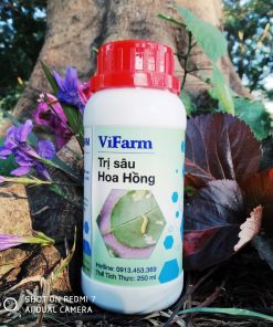 Alternative view of ComBo Trị Sâu Và Trị Bệnh Cho Hoa Hồng - Chế Phẩm Sinh Học Cao Cấp Orgreen