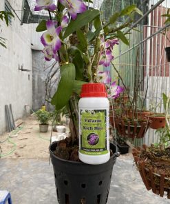 Alternative view of Lọ Kích Hoa (250ml) Của Bộ Chế Phẩm Sinh Học Cho Hoa Lan - Chế Phẩm Sinh Học Cao Cấp Orgreen