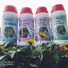 Combo 4 Lọ Vi Sinh Hoa Hồng Loại 500ml -  Chế Phẩm Sinh Học Cao Cấp Orgreen